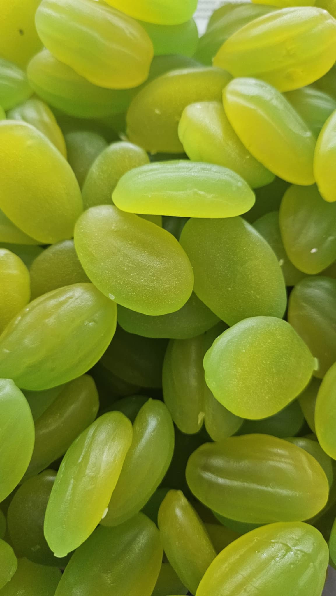 Melon