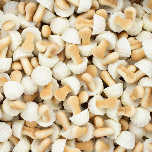 Champignon chocolat blanc